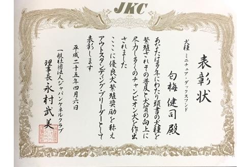 成約済の兵庫県のミニチュアダックスフンド(ロングヘアード)-51757の1枚目