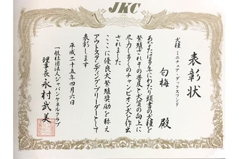 成約済の兵庫県のミニチュアダックスフンド(ロングヘアード)-63059の2枚目