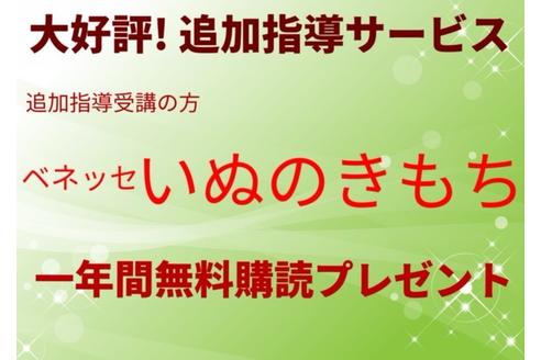 成約済の秋田県のミックス犬-73391の10枚目