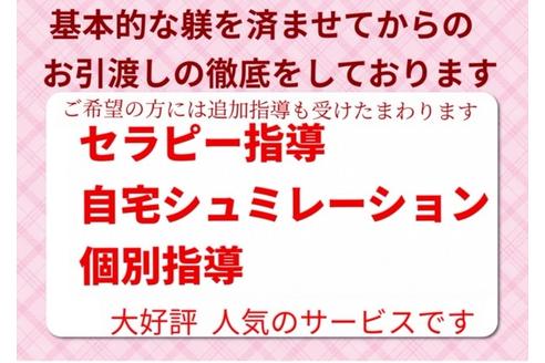 成約済の秋田県のミックス犬-73391の9枚目