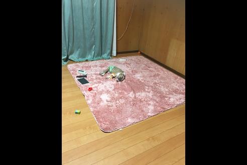 成約済の佐賀県のアメリカンピットブルテリア-75007の45枚目