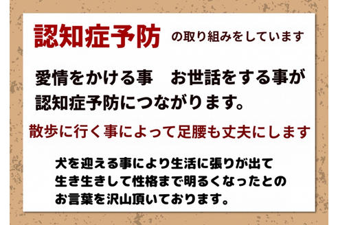 成約済の秋田県のミックス犬-90561の8枚目