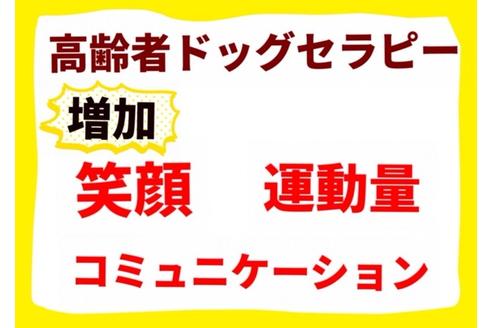 成約済の秋田県のミックス犬-90561の4枚目