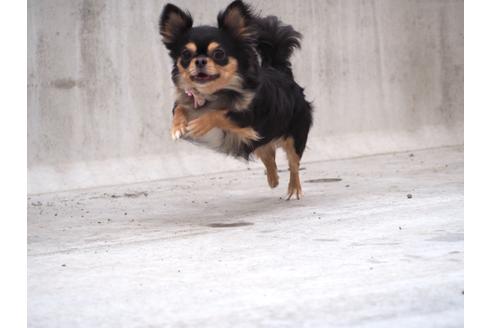 そらちゃん1枚目