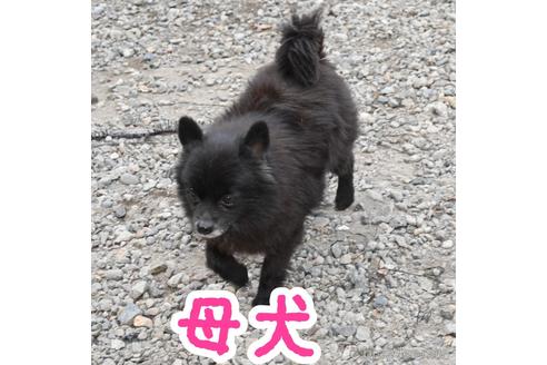 ティノちゃん1枚目