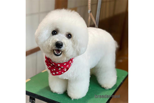 いちごちゃん1枚目