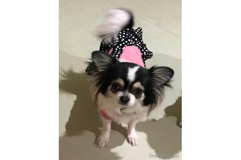 小夏ちゃん1枚目