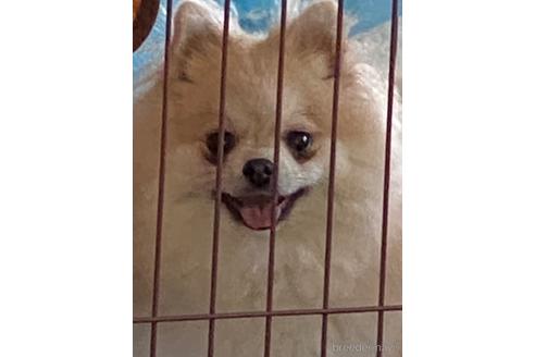ここなちゃん1枚目