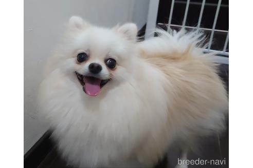 ララちゃん1枚目