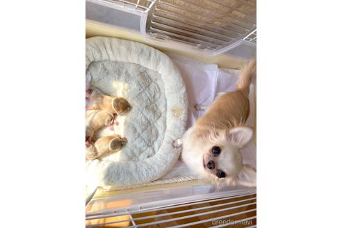 ちゃん1枚目