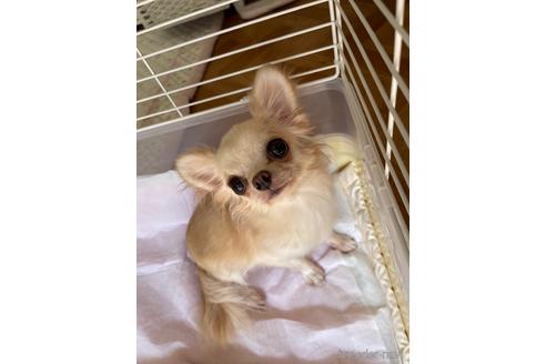 ちゃん1枚目