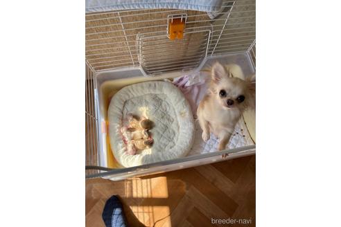 ちゃん1枚目