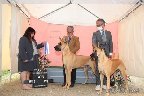 タバサちゃん1枚目