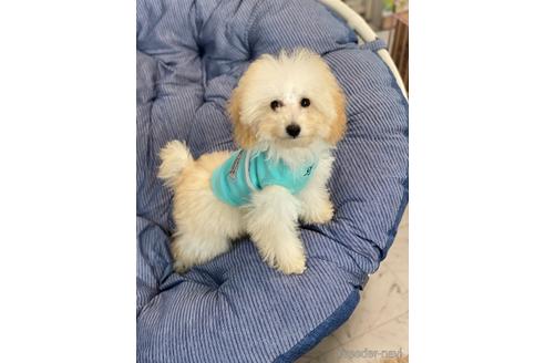 来人くんくん1枚目