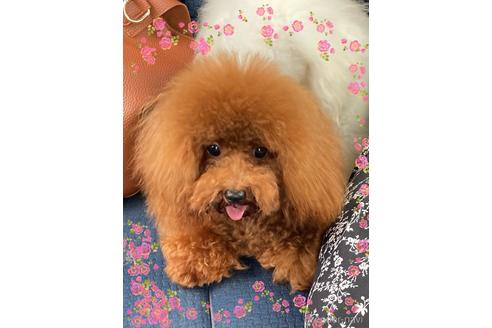 ガムくんくん1枚目