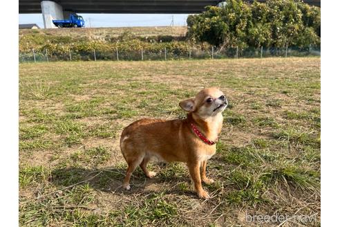 すみちゃん1枚目