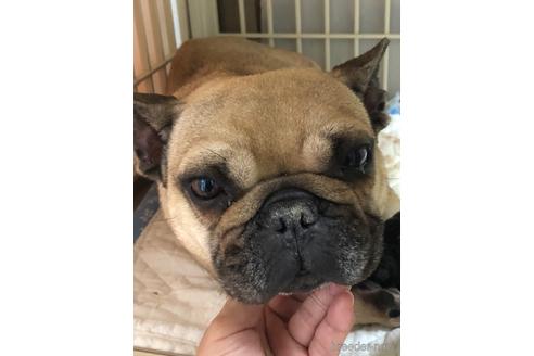 もなかくん1枚目