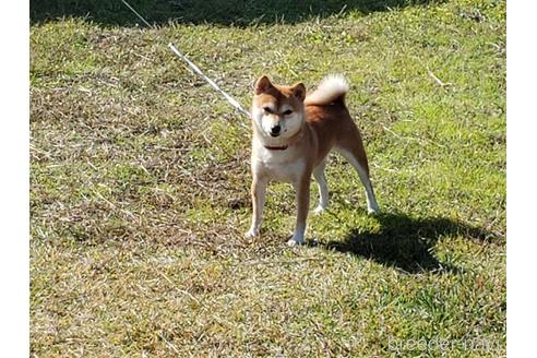 まめちゃん1枚目