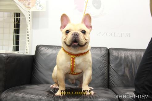 BENZ(ベンツ)くん1枚目
