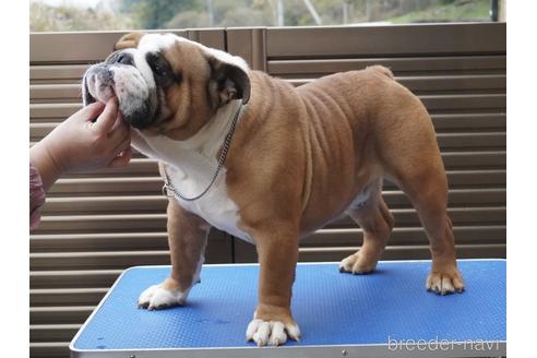 レノンくん1枚目