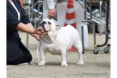 フーガちゃん1枚目