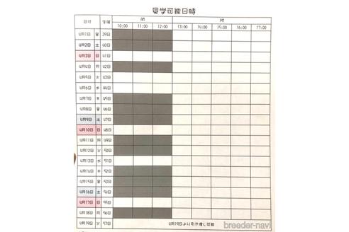 成約済の愛知県のシーズー-172040の2枚目