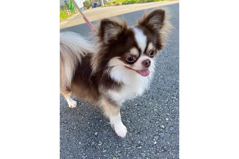 セナくん1枚目