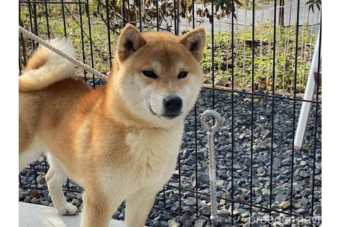 将豊くん1枚目