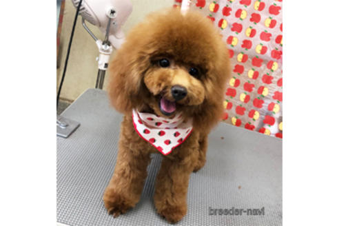 いとはちゃん1枚目