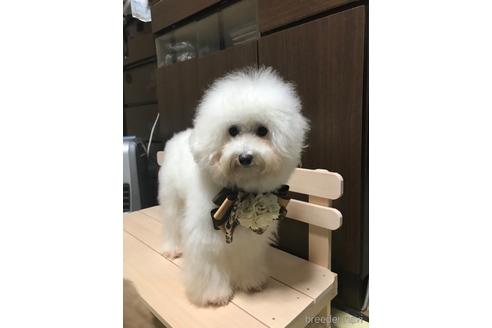 ジェルちゃん1枚目