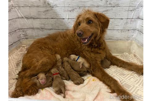 チェリちゃん1枚目