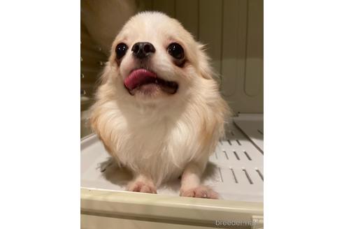くん1枚目