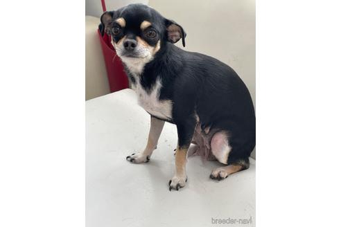 ちゃん1枚目
