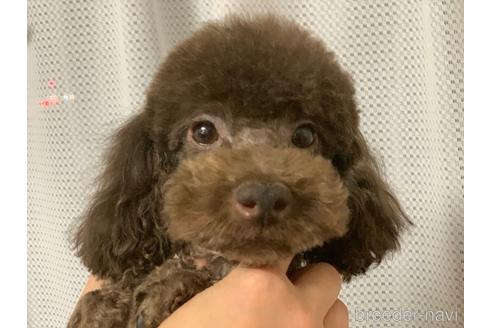 タオちゃん1枚目