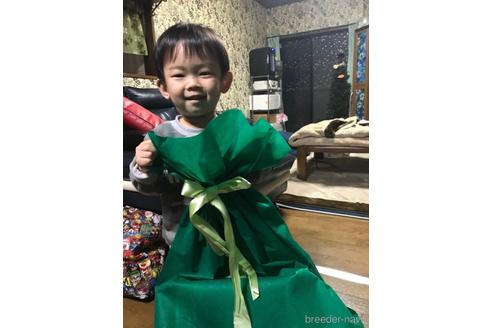 ちゃん1枚目
