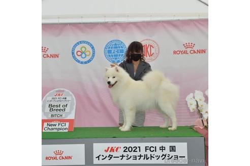 セレネちゃん1枚目