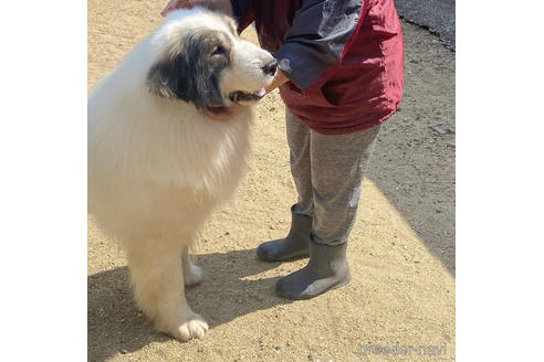 ちゃん1枚目