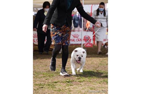 フェアレディちゃん1枚目