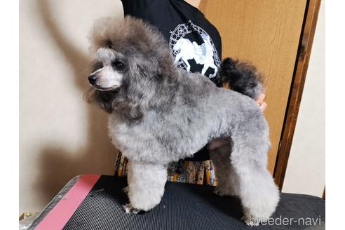 マノンくん1枚目