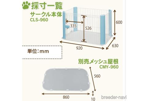 成約済の熊本県のポメプー:ポメラニアン×トイプードル-185254の2枚目