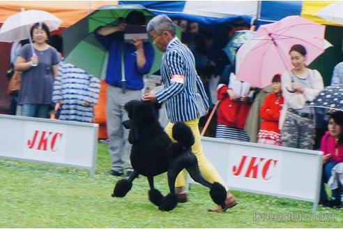 ステイシーちゃん1枚目