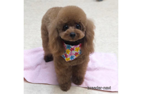 結ちゃん1枚目