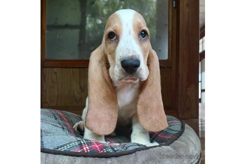 2enev2tjfzxiqm 2enev2tjfzxiqm