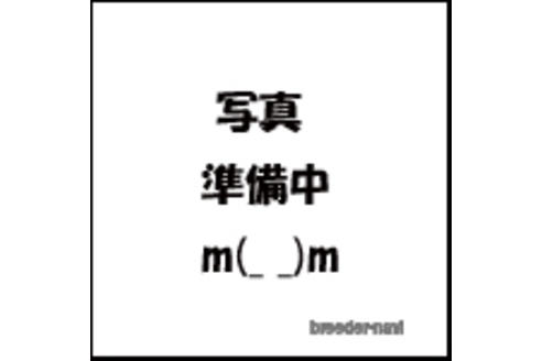 の東京都の-