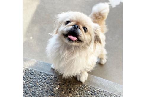 はなちゃん1枚目