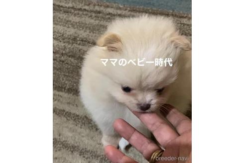 ちゃん1枚目