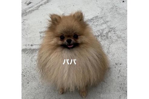 くん1枚目