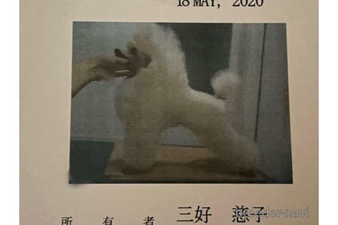 くん1枚目