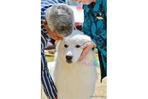 カノンちゃん1枚目