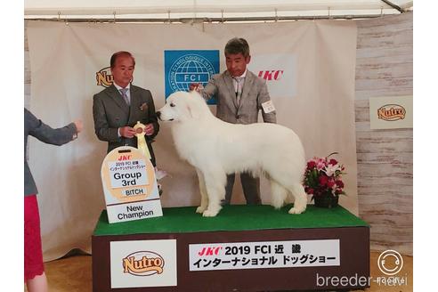 カノンちゃん1枚目